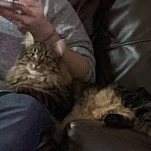 Meet your Posher, Damon